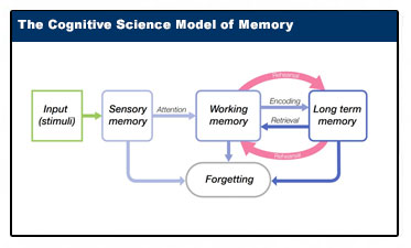 The Cognitive Science Model of Memory